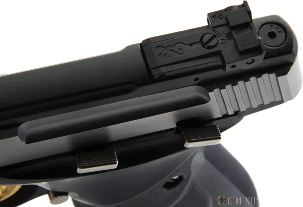 Buck Mark Standard Stainless URX: close da alça de mira Pro-Target e da parte de trás do ferrolho